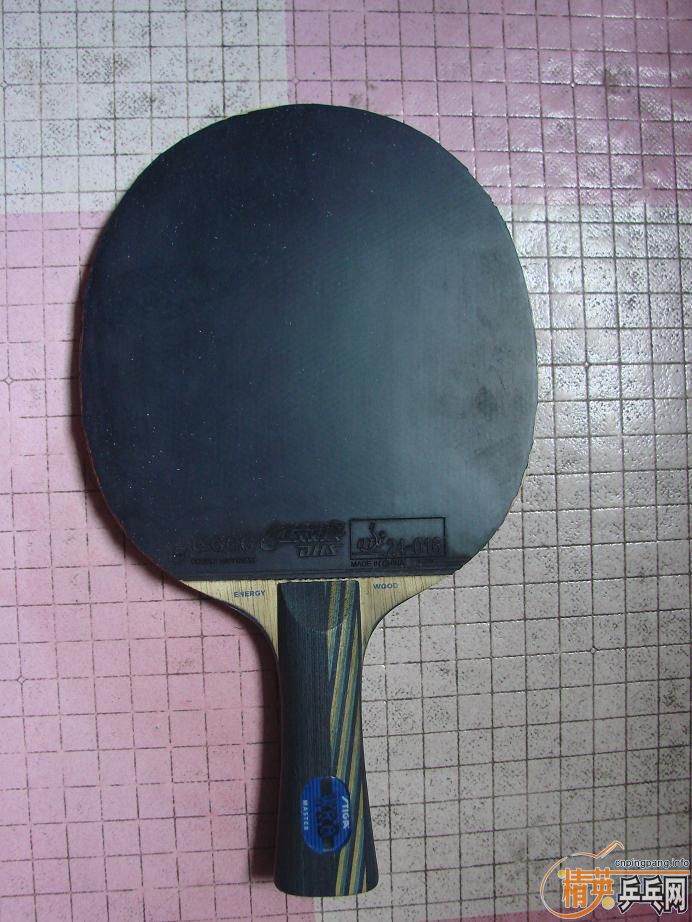 9���л�˹�ۿ�Eg-WRB������ ����JOOLA VIVA