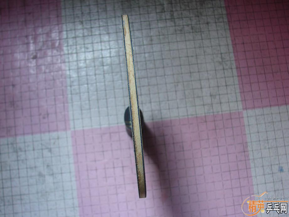 9���л�˹�ۿ�Eg-WRB������ ����JOOLA VIVA