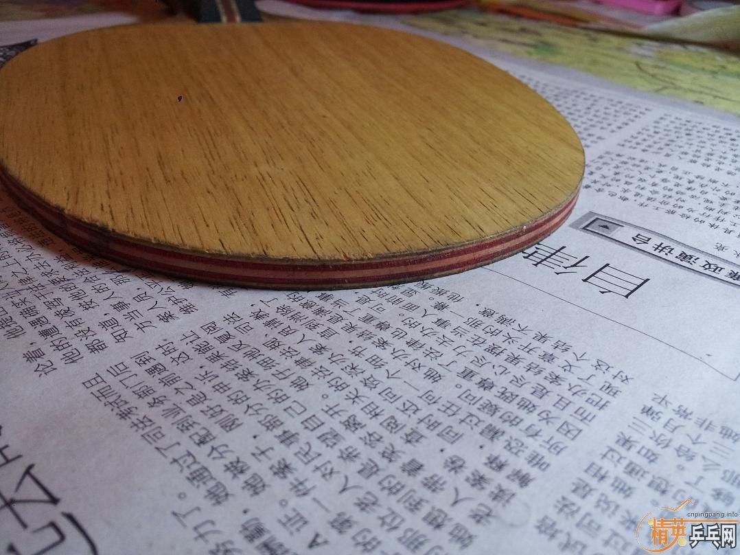 9���л�˹�ۿ�Eg-WRB������ ����JOOLA VIVA