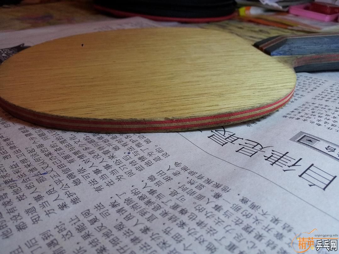 9���л�˹�ۿ�Eg-WRB������ ����JOOLA VIVA