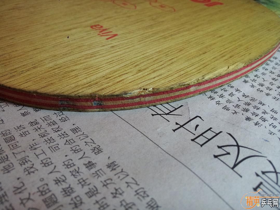 9���л�˹�ۿ�Eg-WRB������ ����JOOLA VIVA