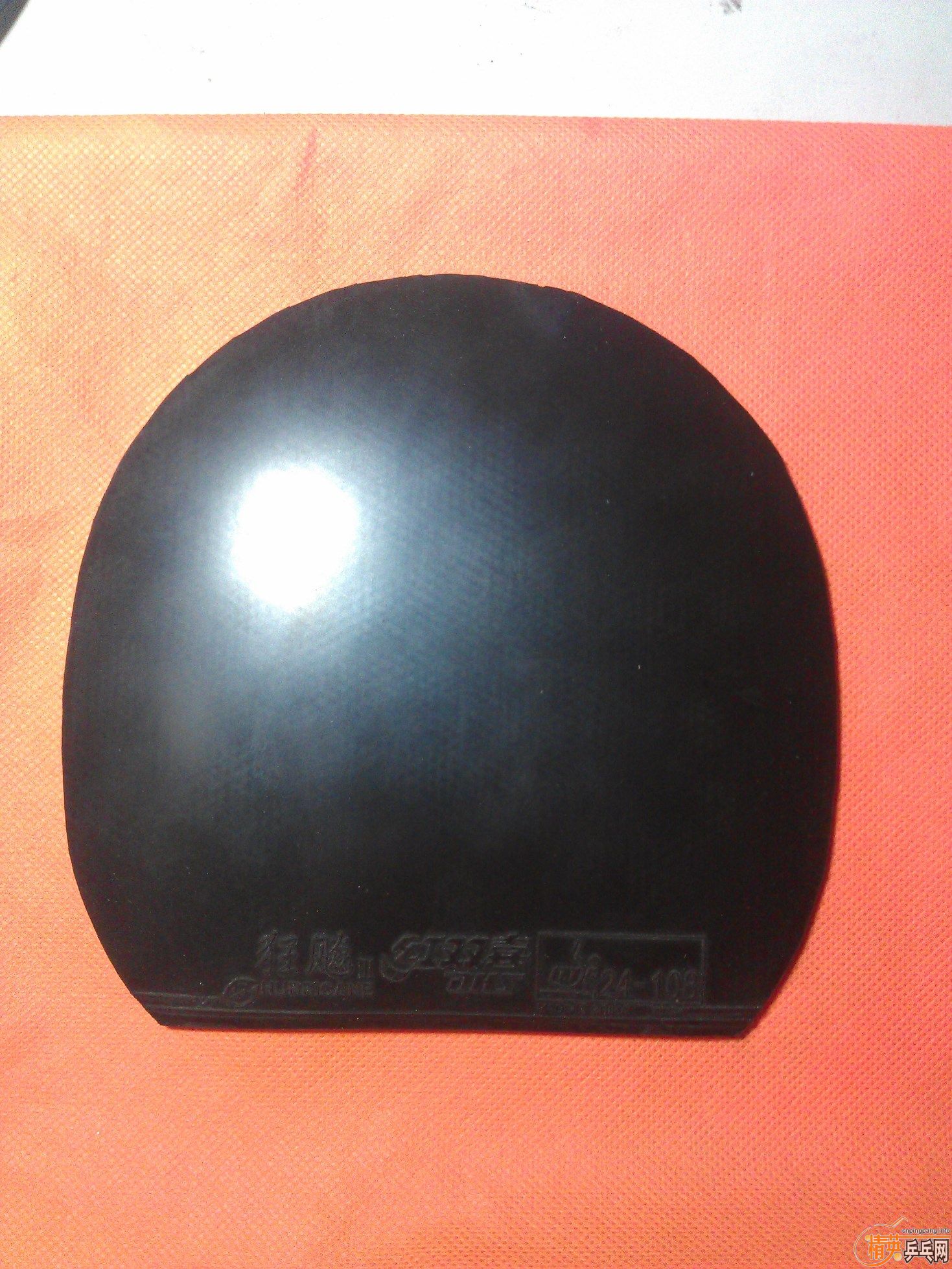 [ԭ��]�ͼ۳������������ƣ�HK1997�׽���֧��������