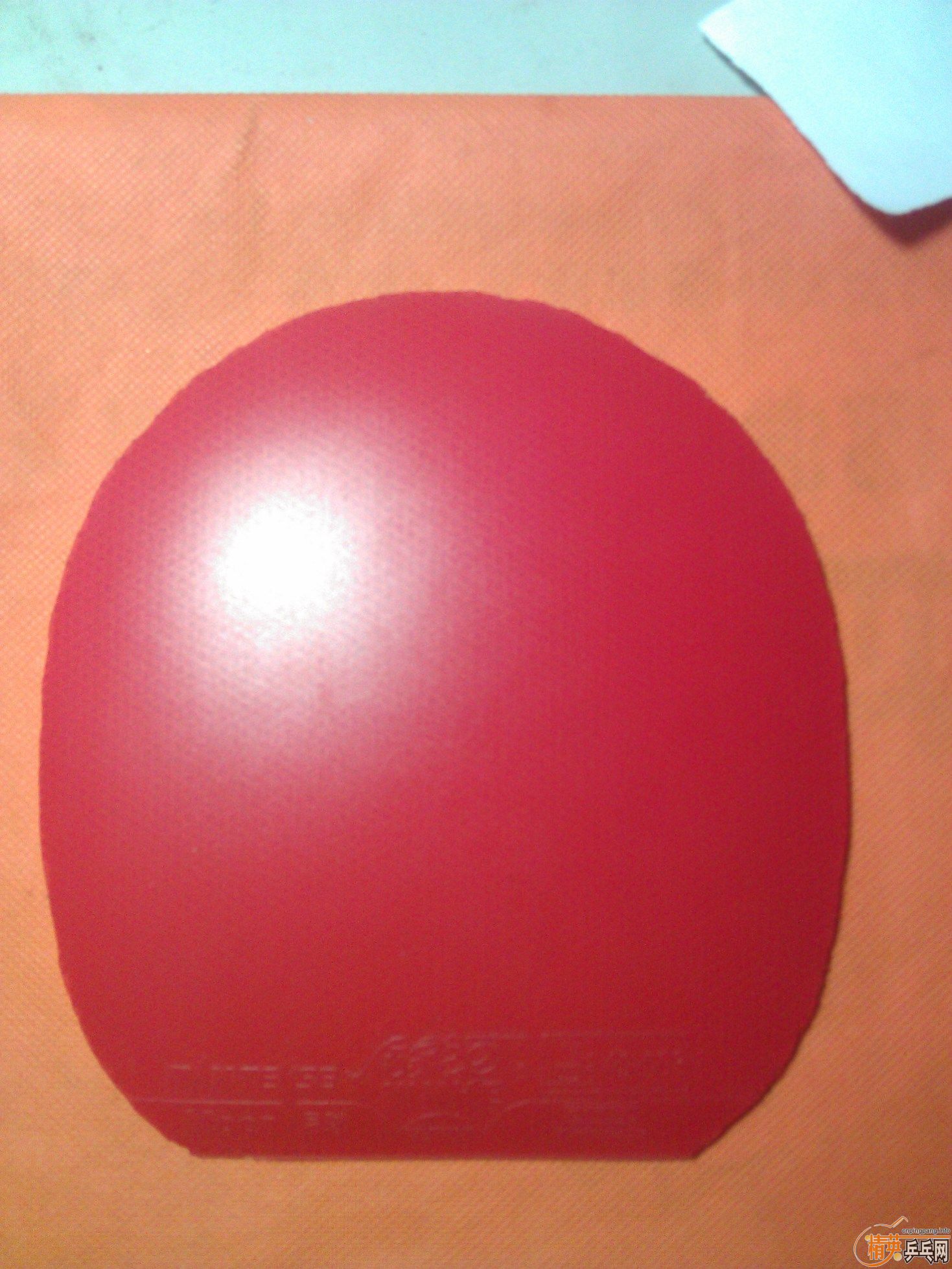 [ԭ��]�ͼ۳������������ƣ�HK1997�׽���֧��������