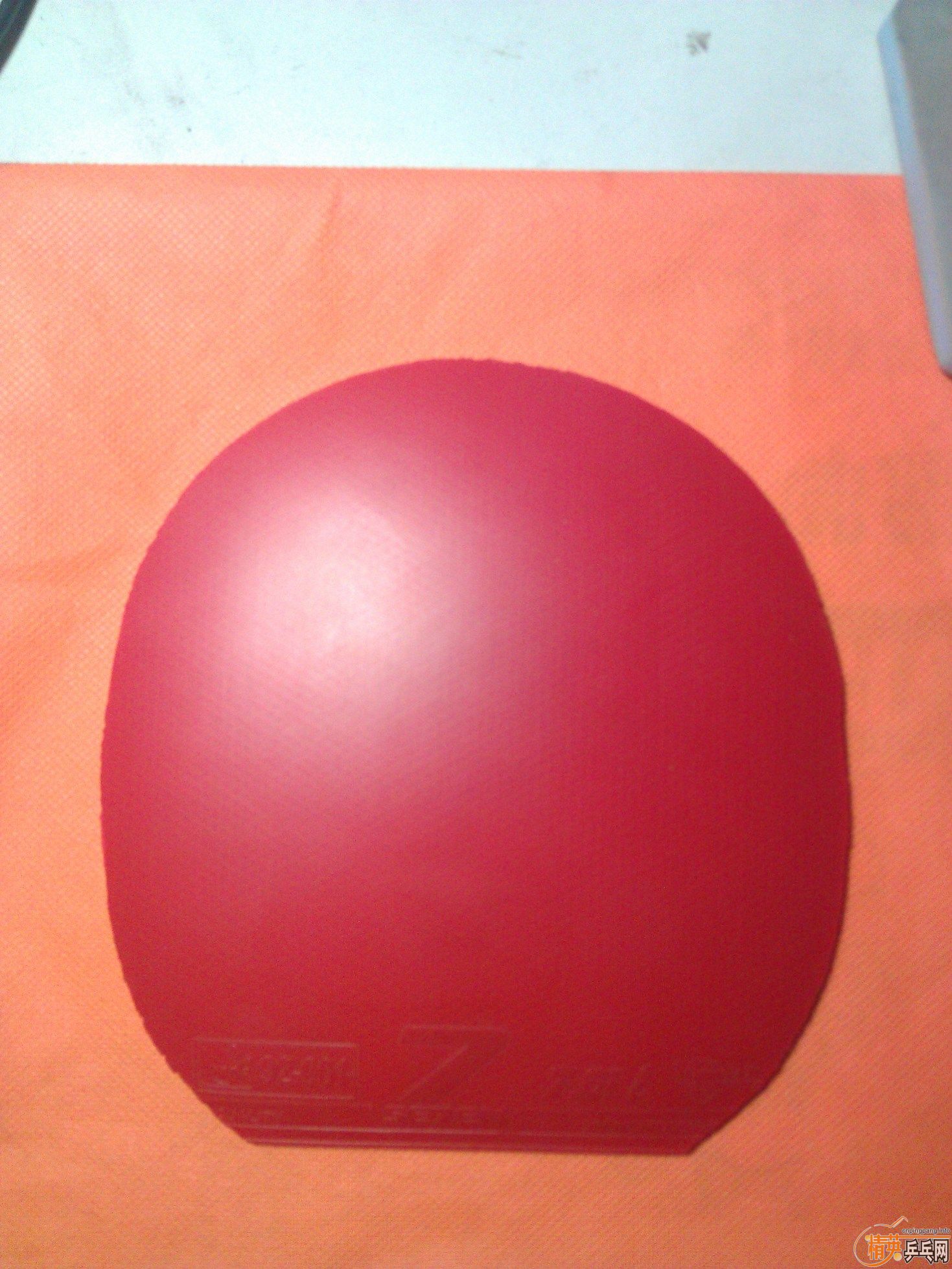 [ԭ��]�ͼ۳������������ƣ�HK1997�׽���֧��������