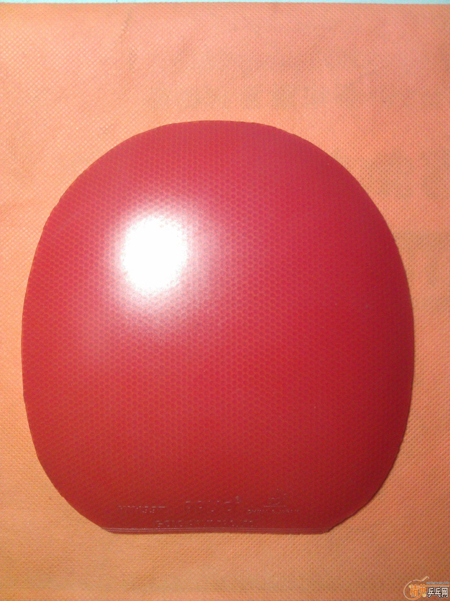 [ԭ��]�ͼ۳������������ƣ�HK1997�׽���֧��������