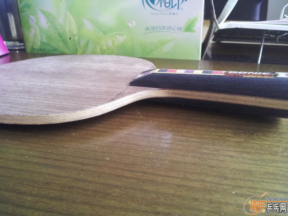 9���л�˹�ۿ�Eg-WRB������ ����JOOLA VIVA  ֻ�ù�һ�ε��л���ǡ