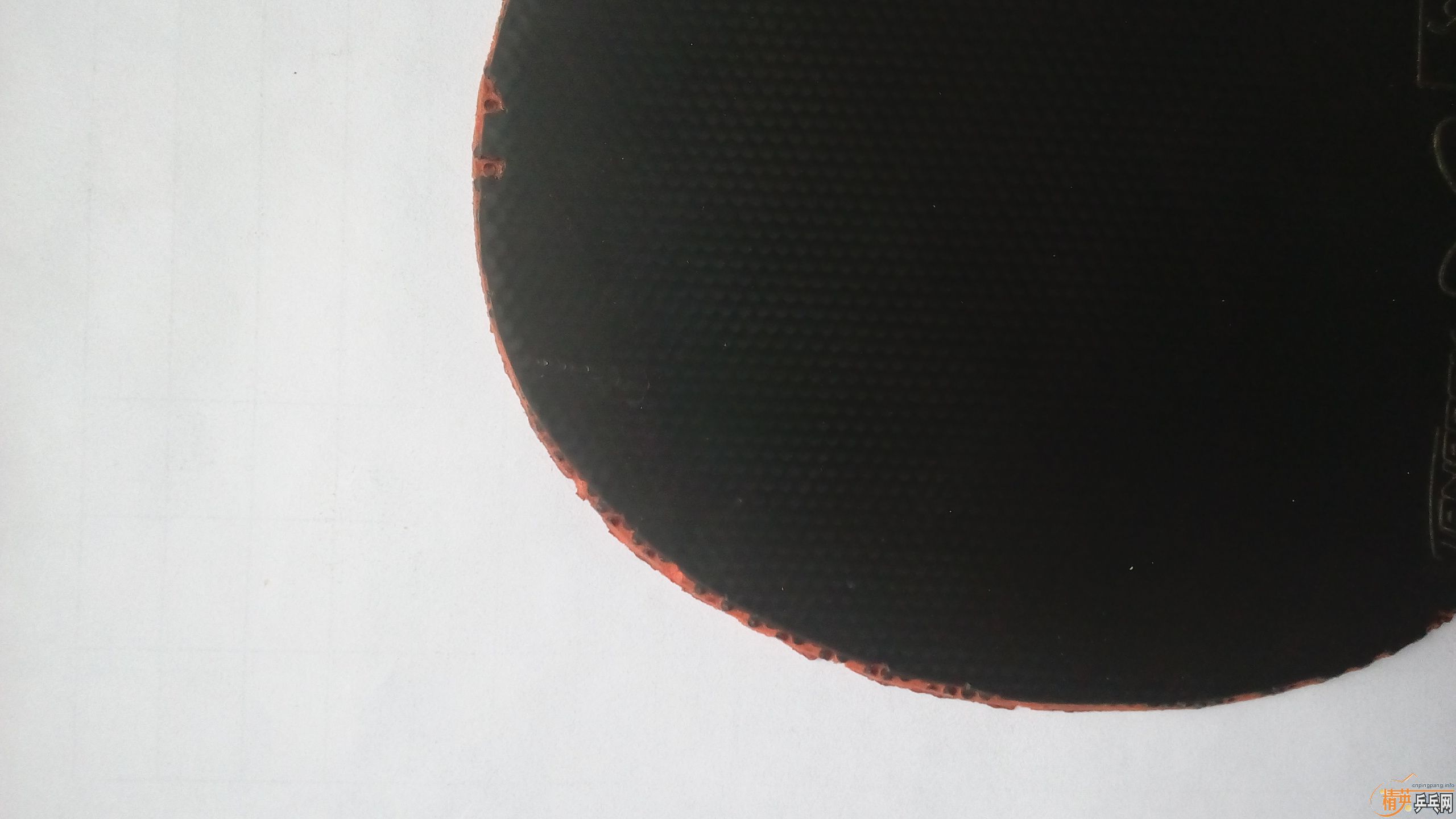齺ƤT64,T05