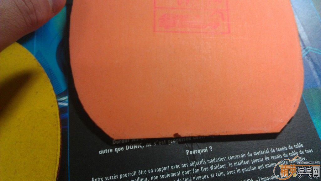 160���ʳ� ��ɫ40��2.2ʡ��ͺ��µĺ�ɫͦ�� ��� GENIUS