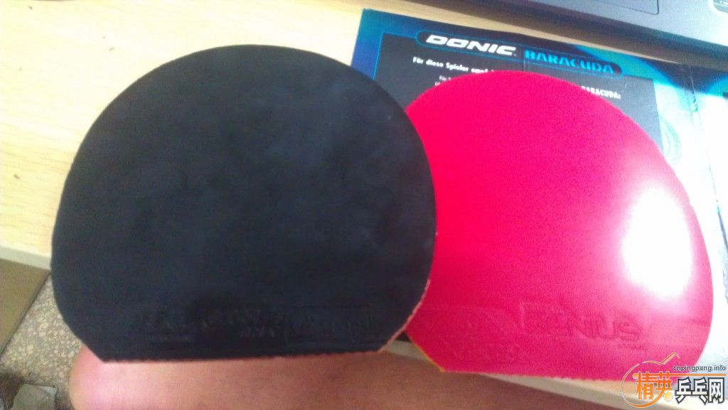 160���ʳ� ��ɫ40��2.2ʡ��ͺ��µĺ�ɫͦ�� ��� GENIUS