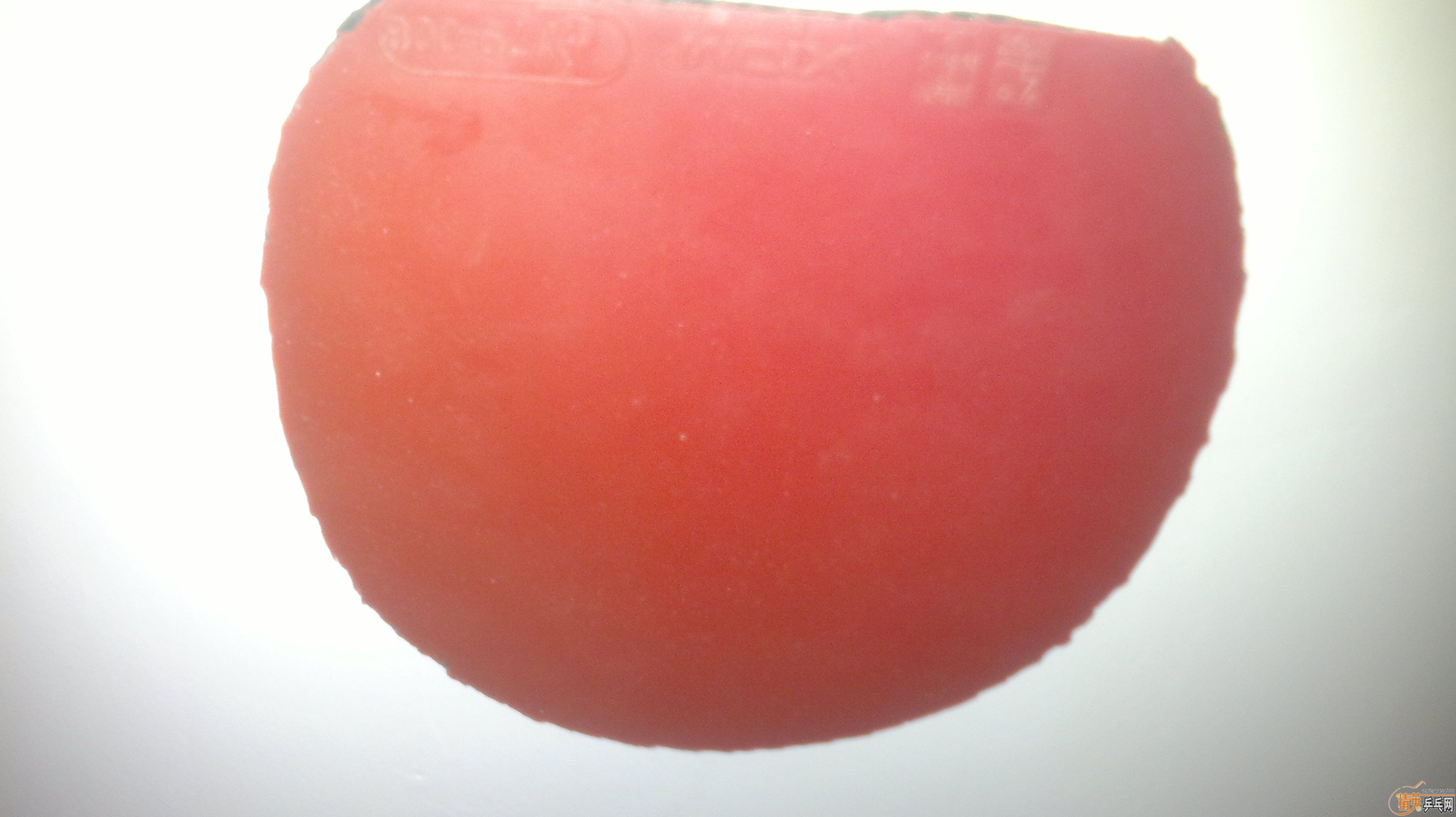 90Բ۽79-008ŷް ɫMAX