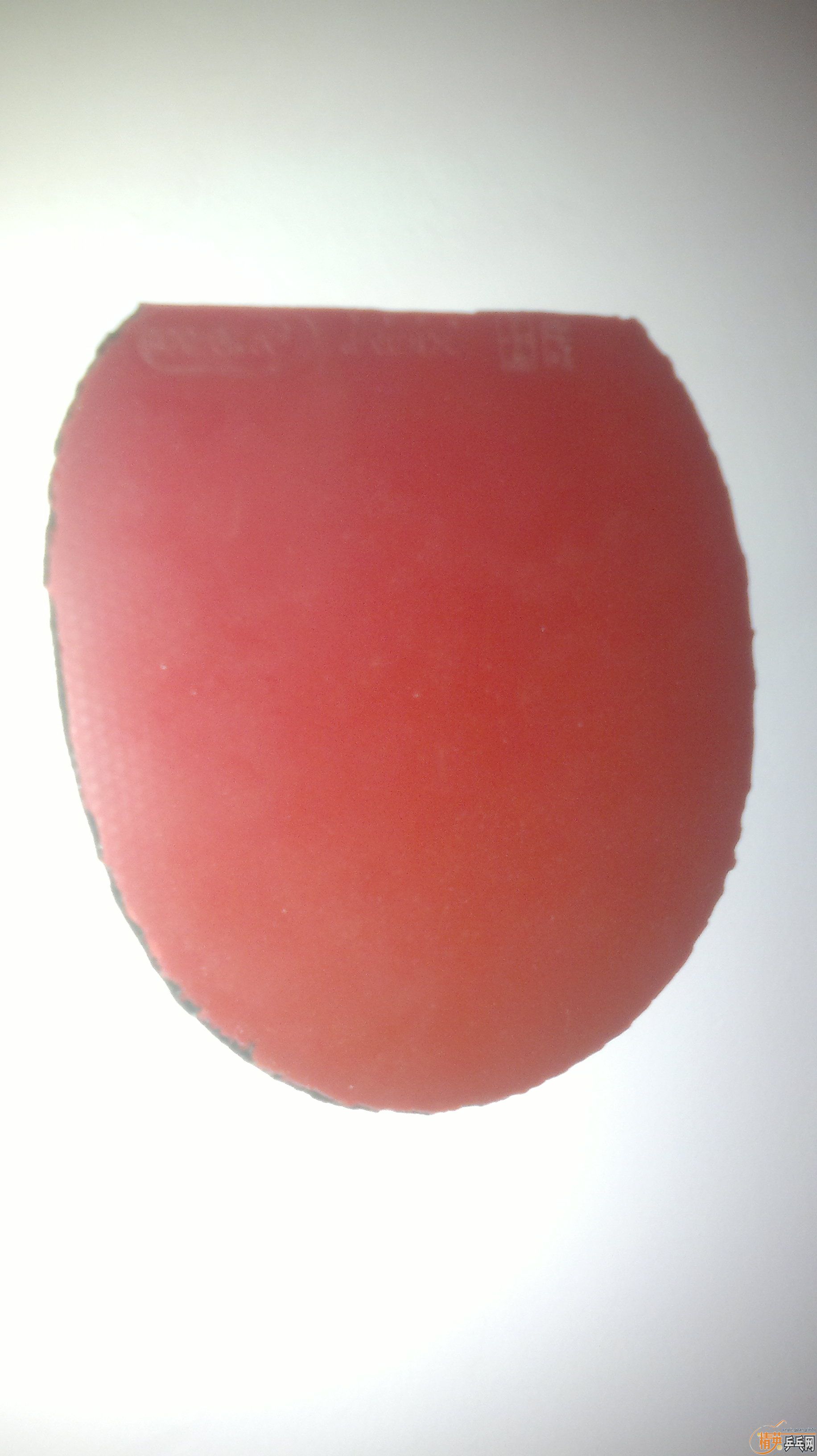 90Բ۽79-008ŷް ɫMAX