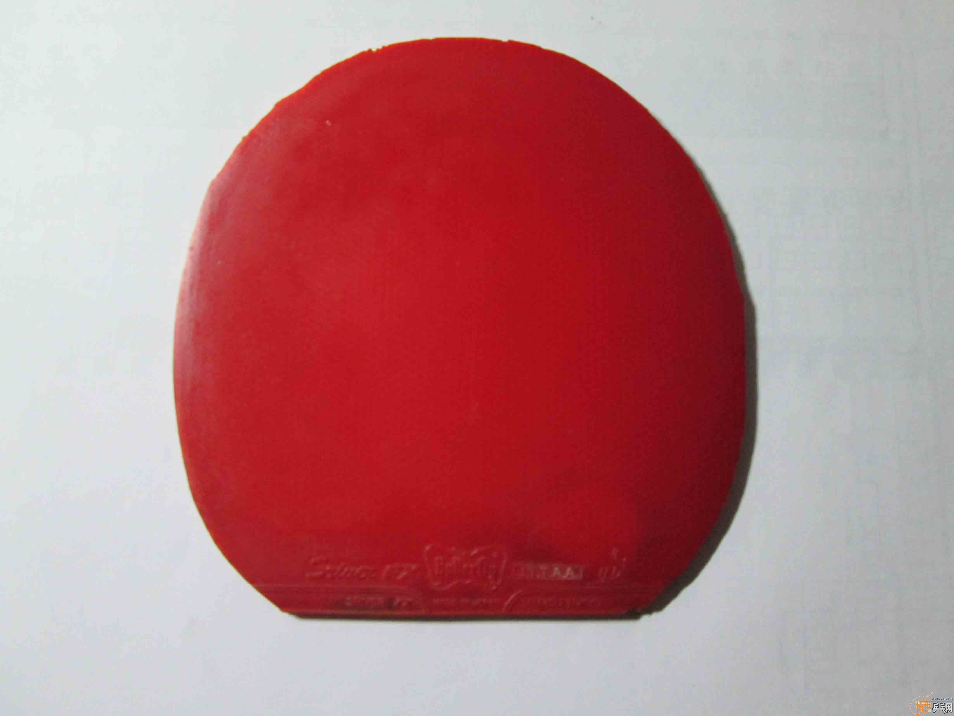 ʡ��3��sriver fx���