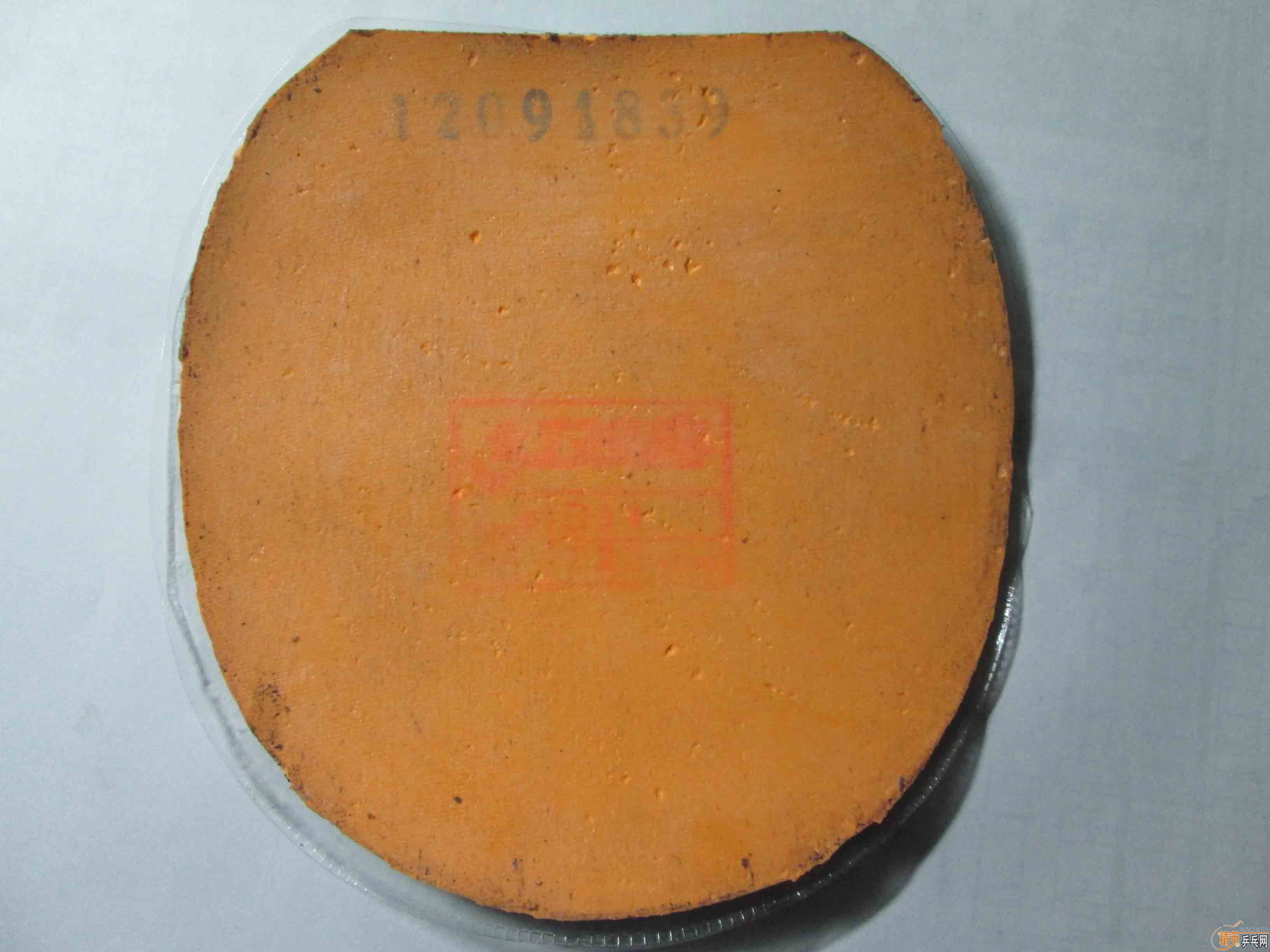 ʡ��3��sriver fx���