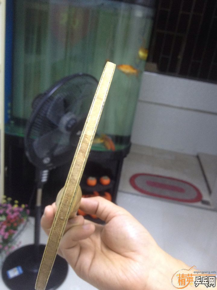 ����������ZLC