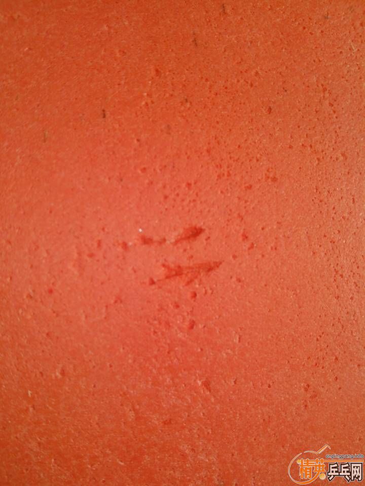 ����F1..  ��T05������160���ʣ����߻����׽�