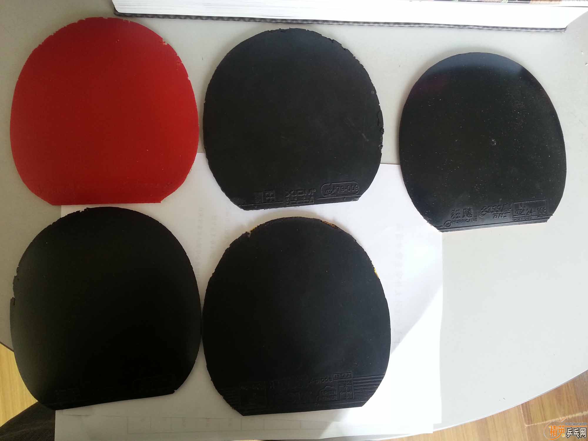 ���������ֽ�Ƥ����V����V��x1�����ţ�������