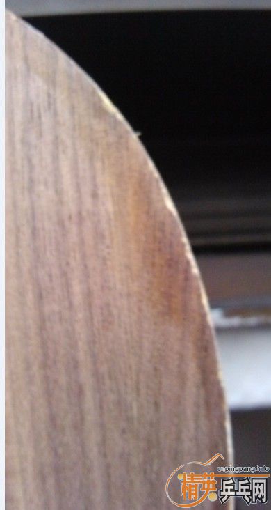 �л���ǡFL92��С�ˣ�170����