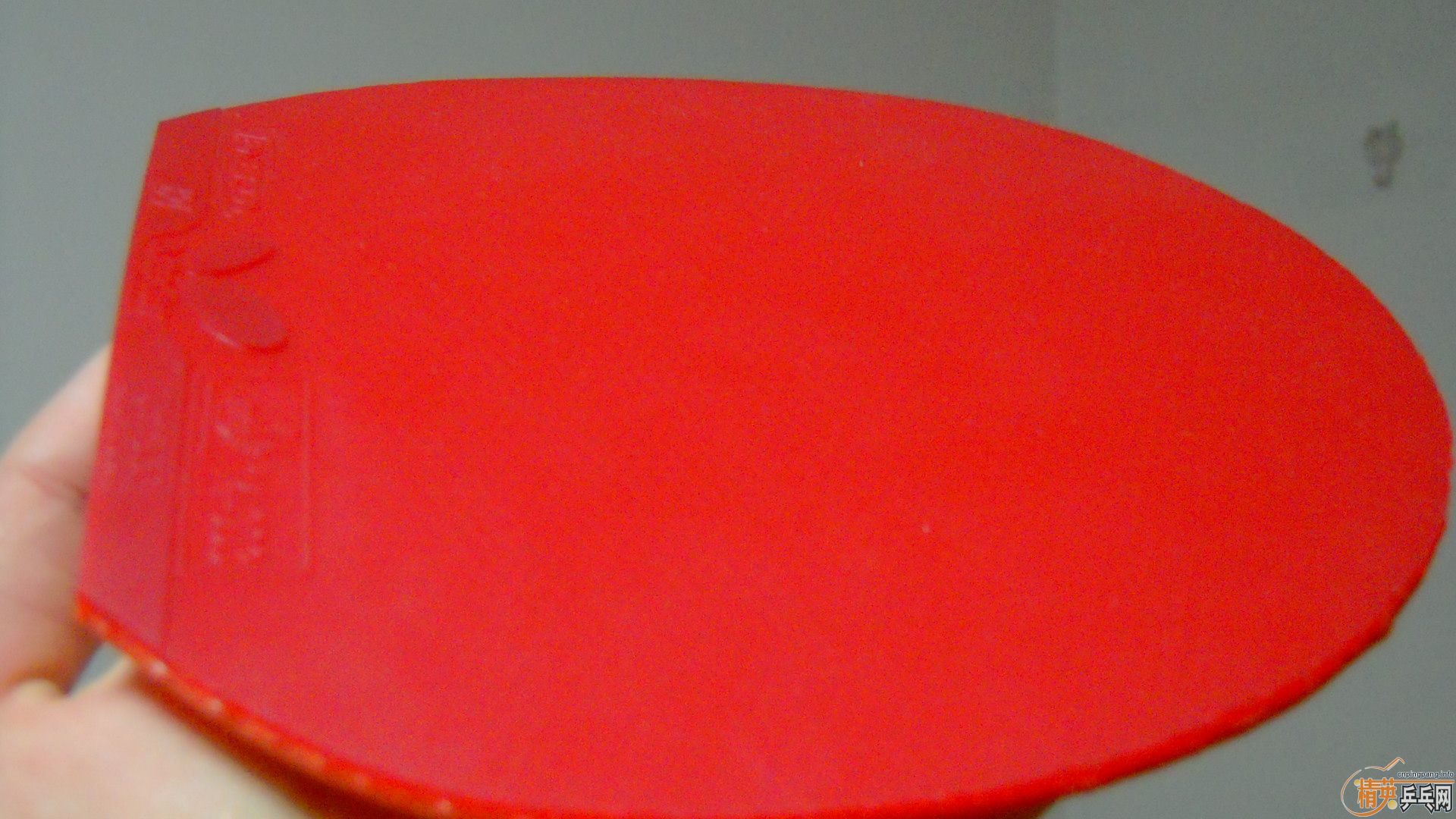 �������к���T64����ɫ2.1��260���ʣ�