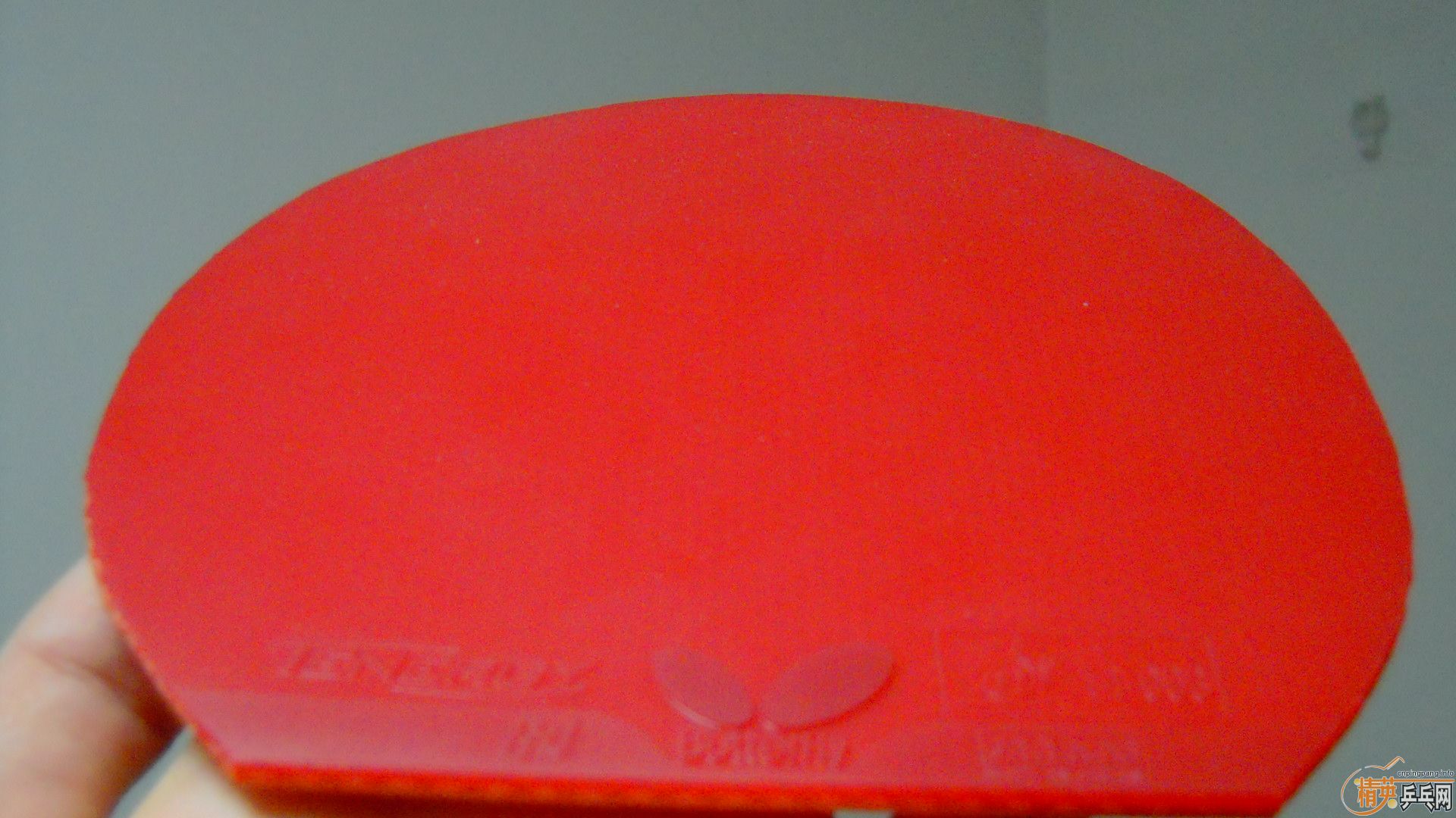 �������к���T64����ɫ2.1��260���ʣ�