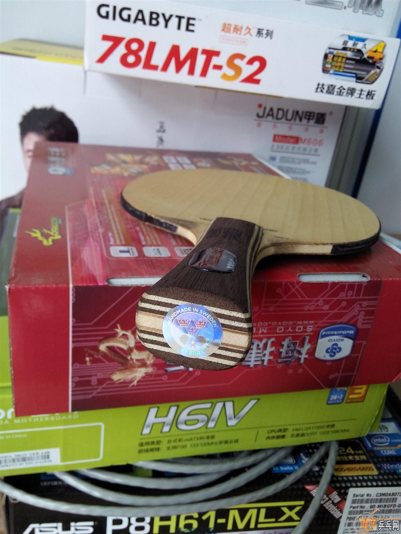 ѳɫvpsv380