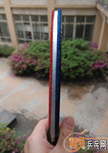 ���� ������ ���Ͻ� 300 ��  ���0.5+   ֧����  ����