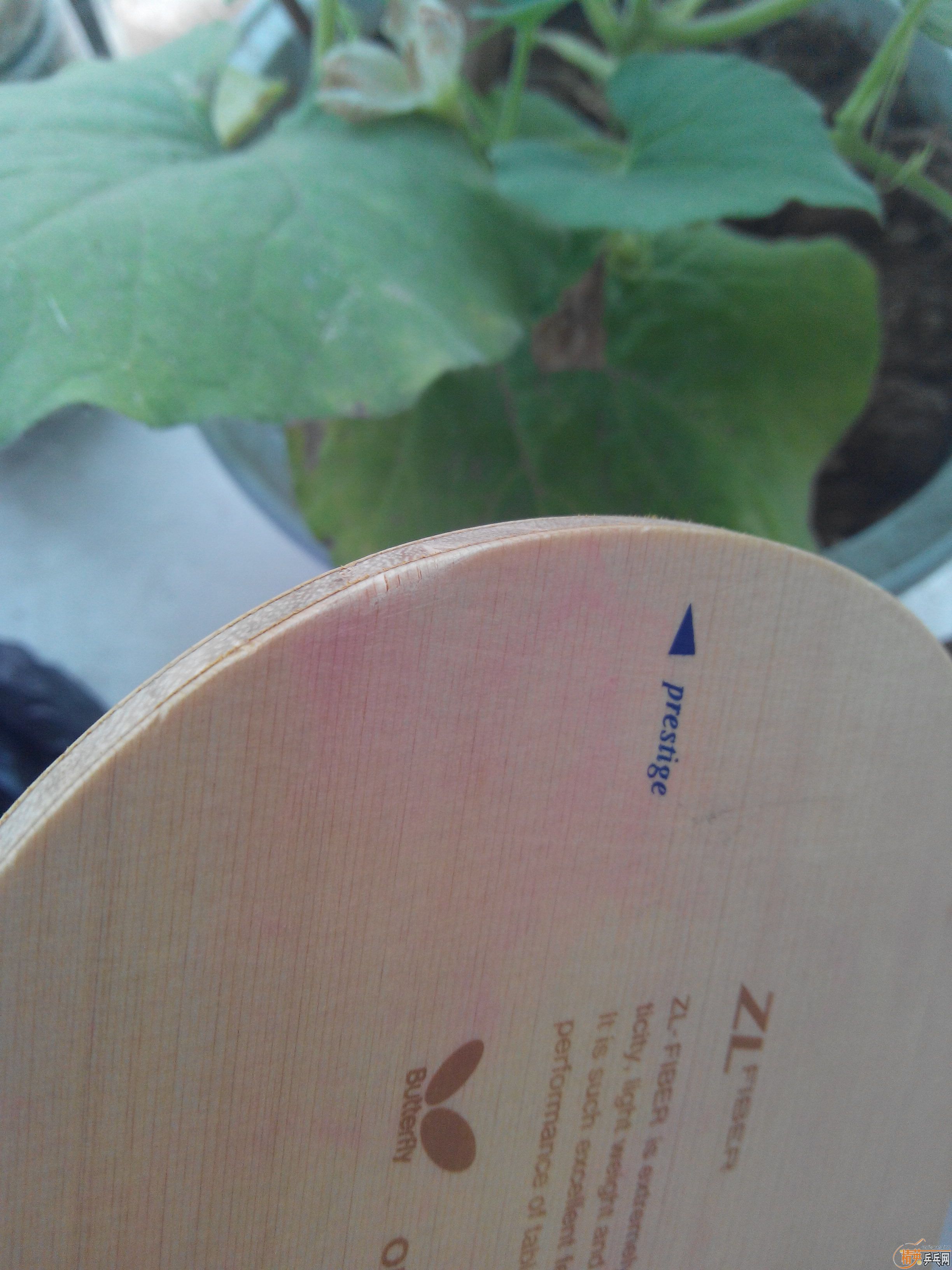 ��������΢���ˡ��ٴ�����ͼƬ������ˮƽһ��