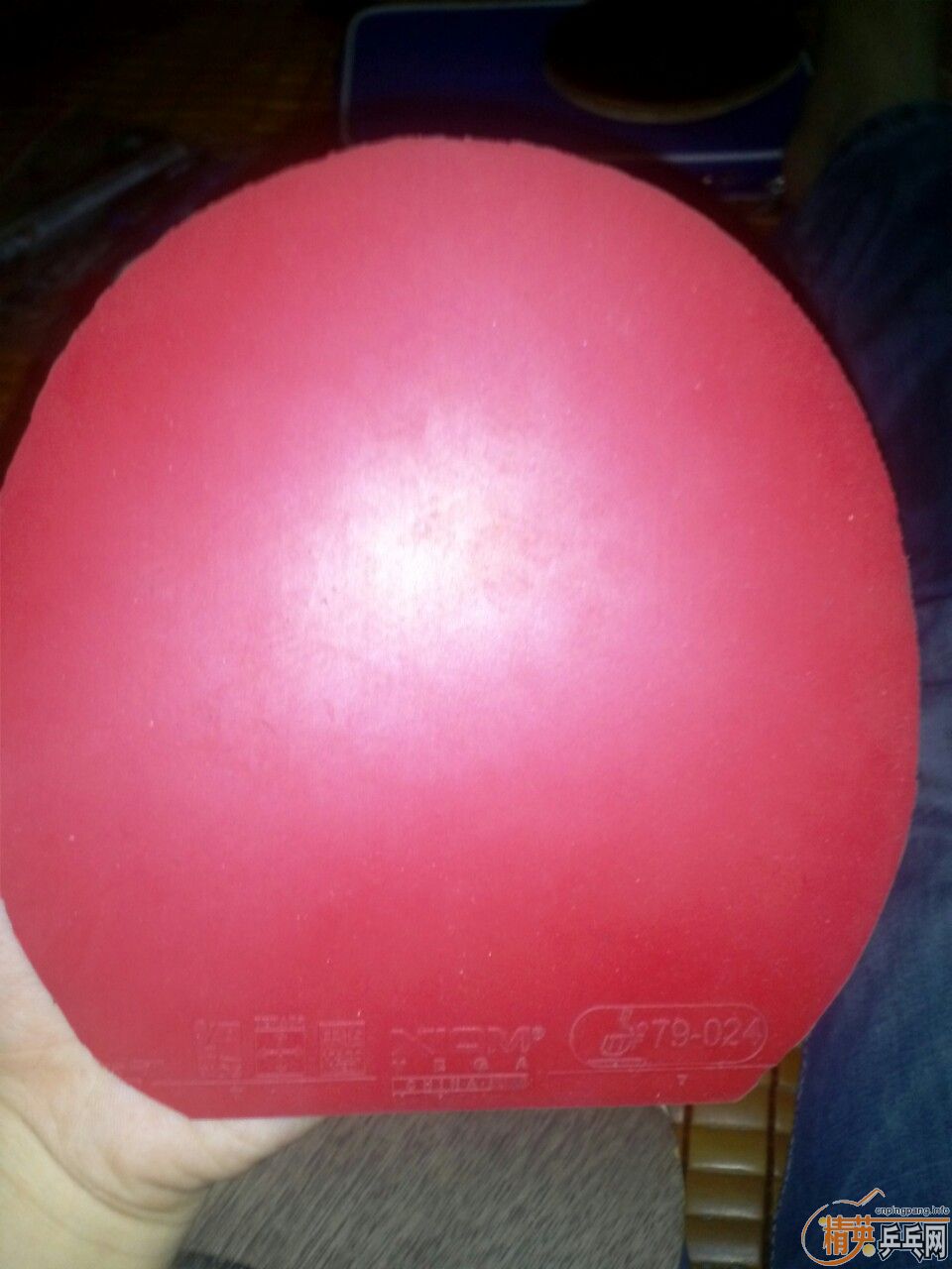 ������VΨ���й�����ɫ��80��