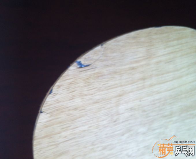 ����9����˹�ۿ��л�EG FL��  ����ľ