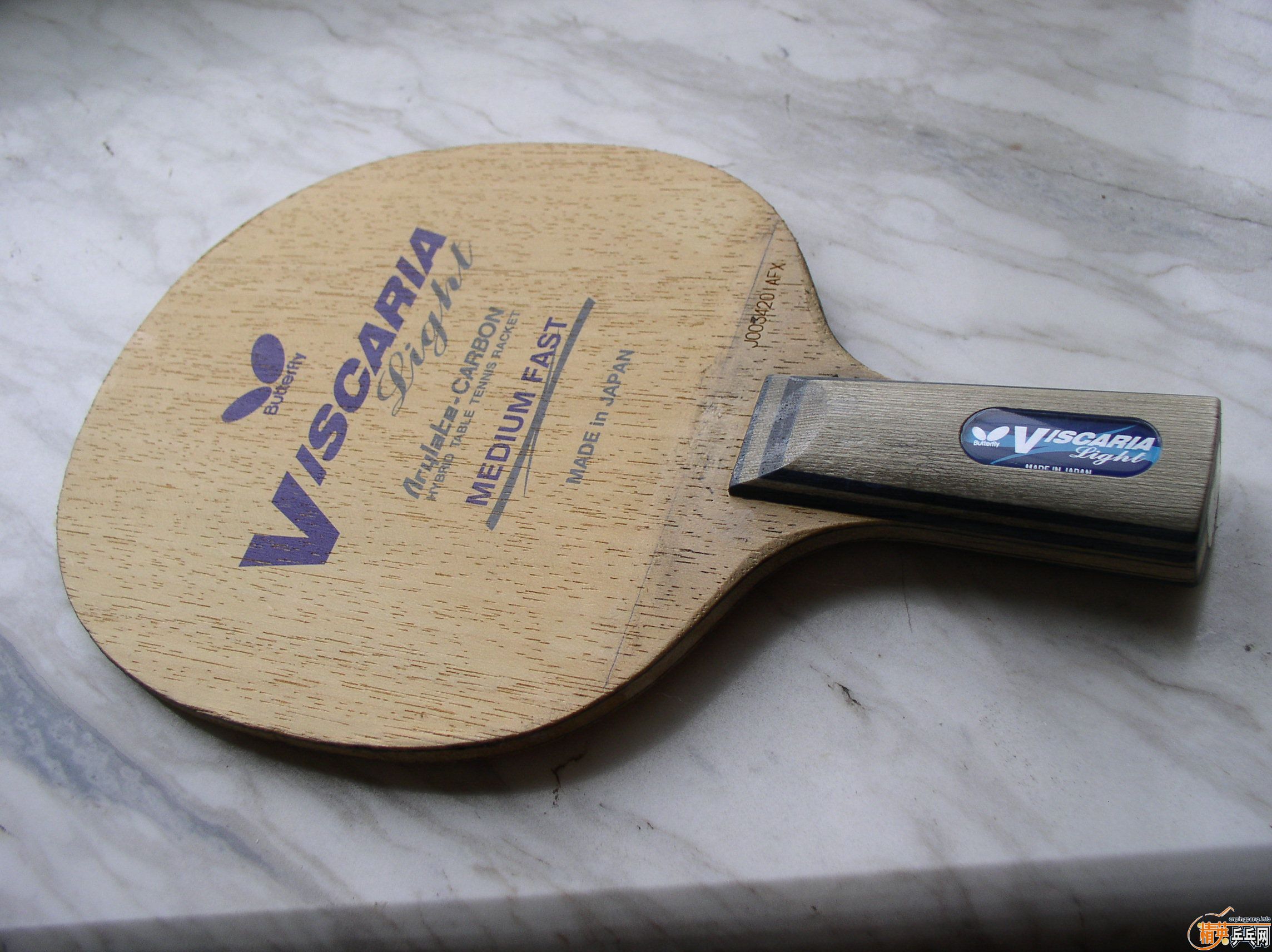 ������ͺ�����