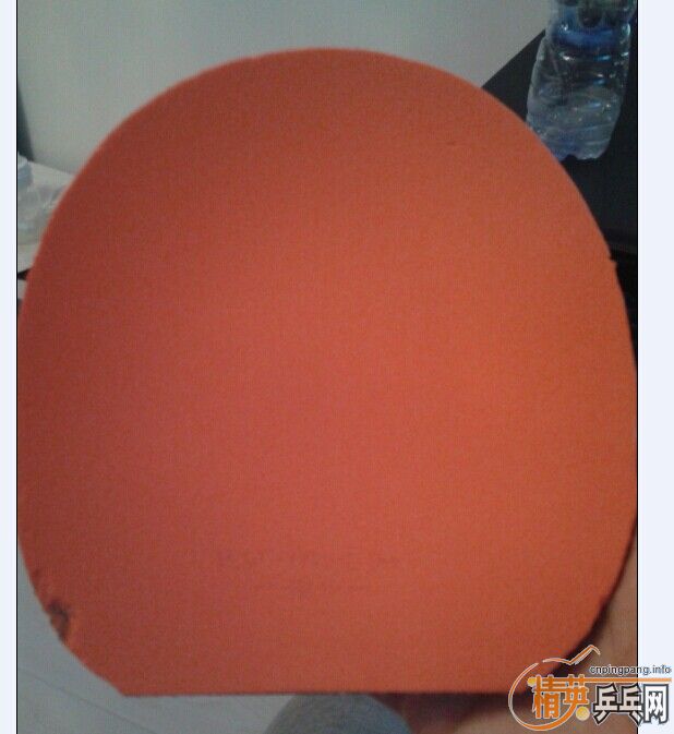 SPT05��40��ʡ��