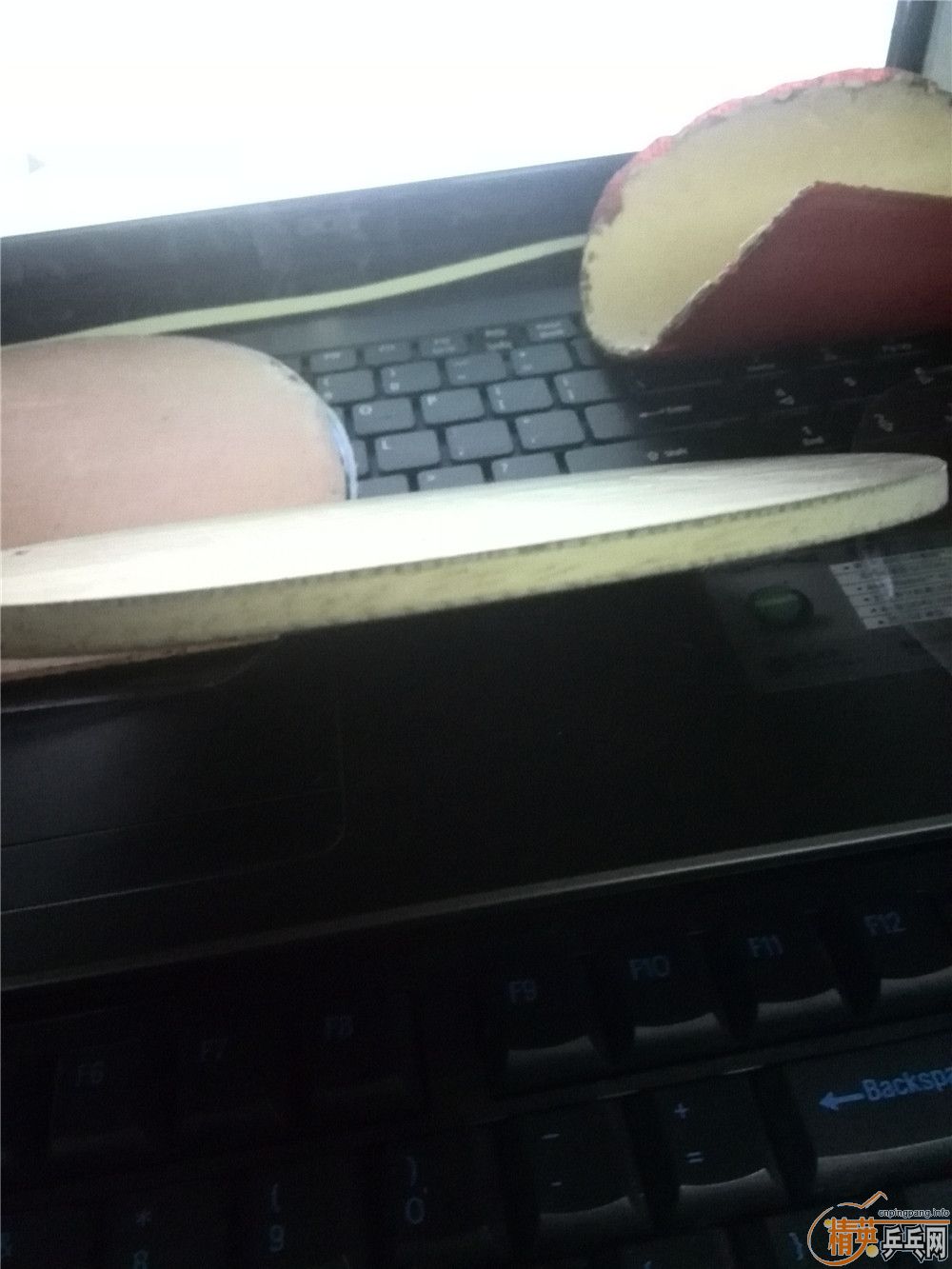 [ԭ��]380���ʳ�����һ�ε���ѡ�л�YEO���������絽������ͼ�����ࣩ