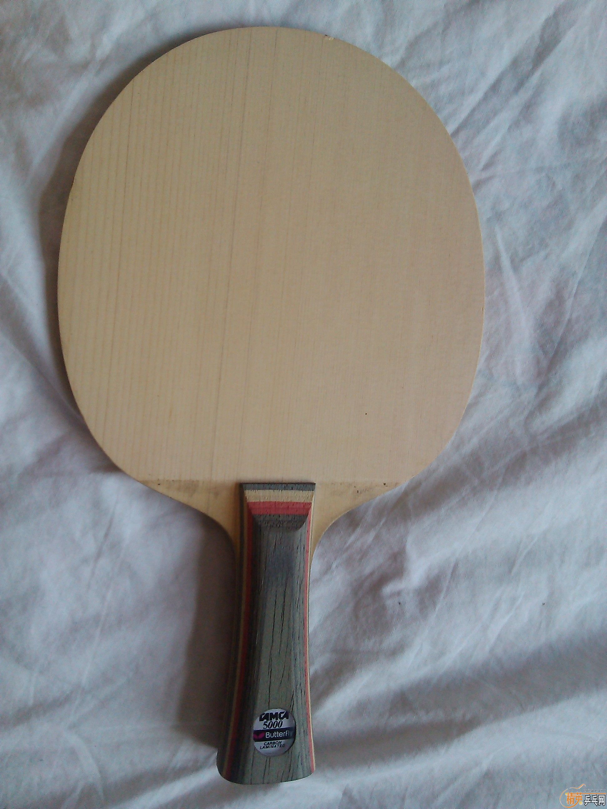 ���۳�������̼