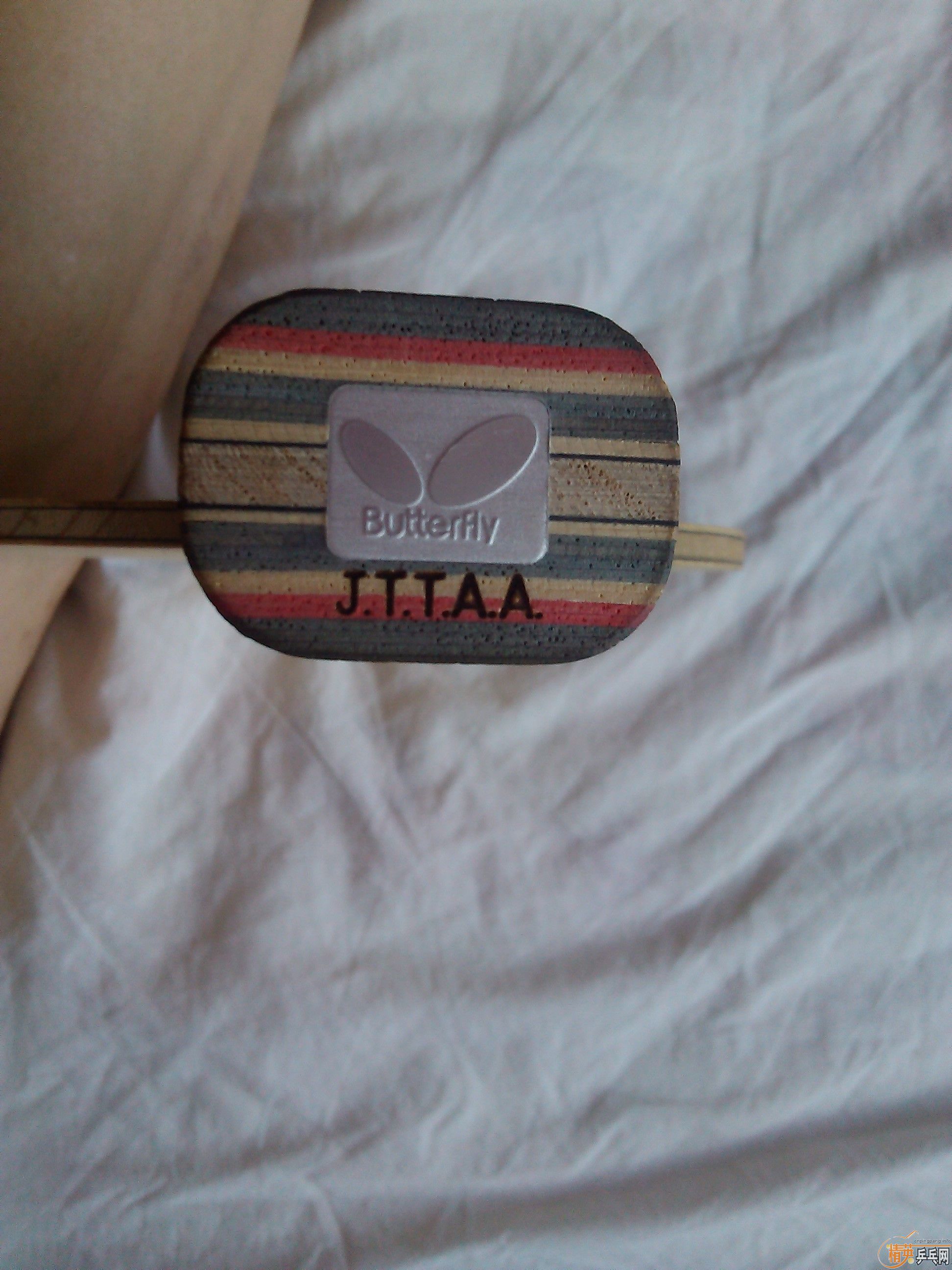 ���۳�������̼