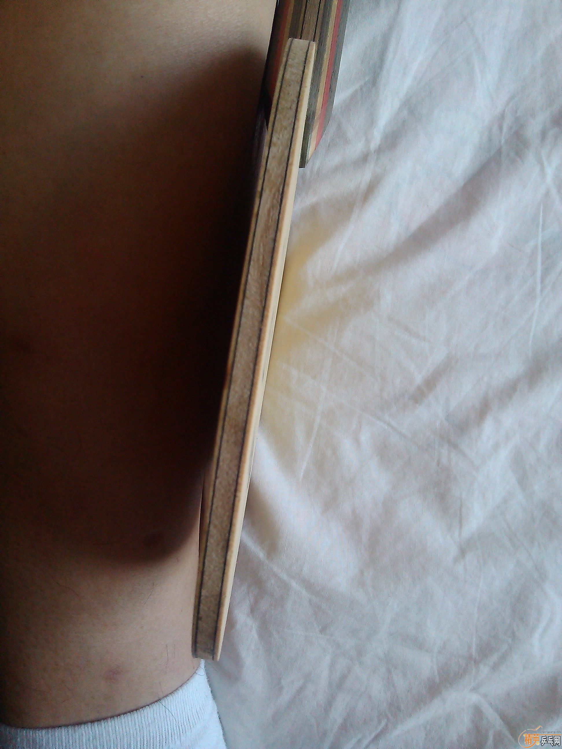 ���۳�������̼