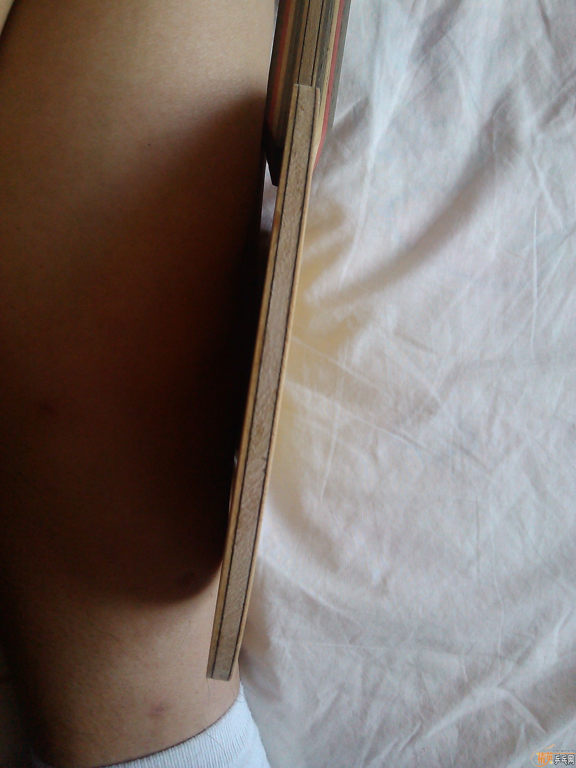 ���۳�������̼