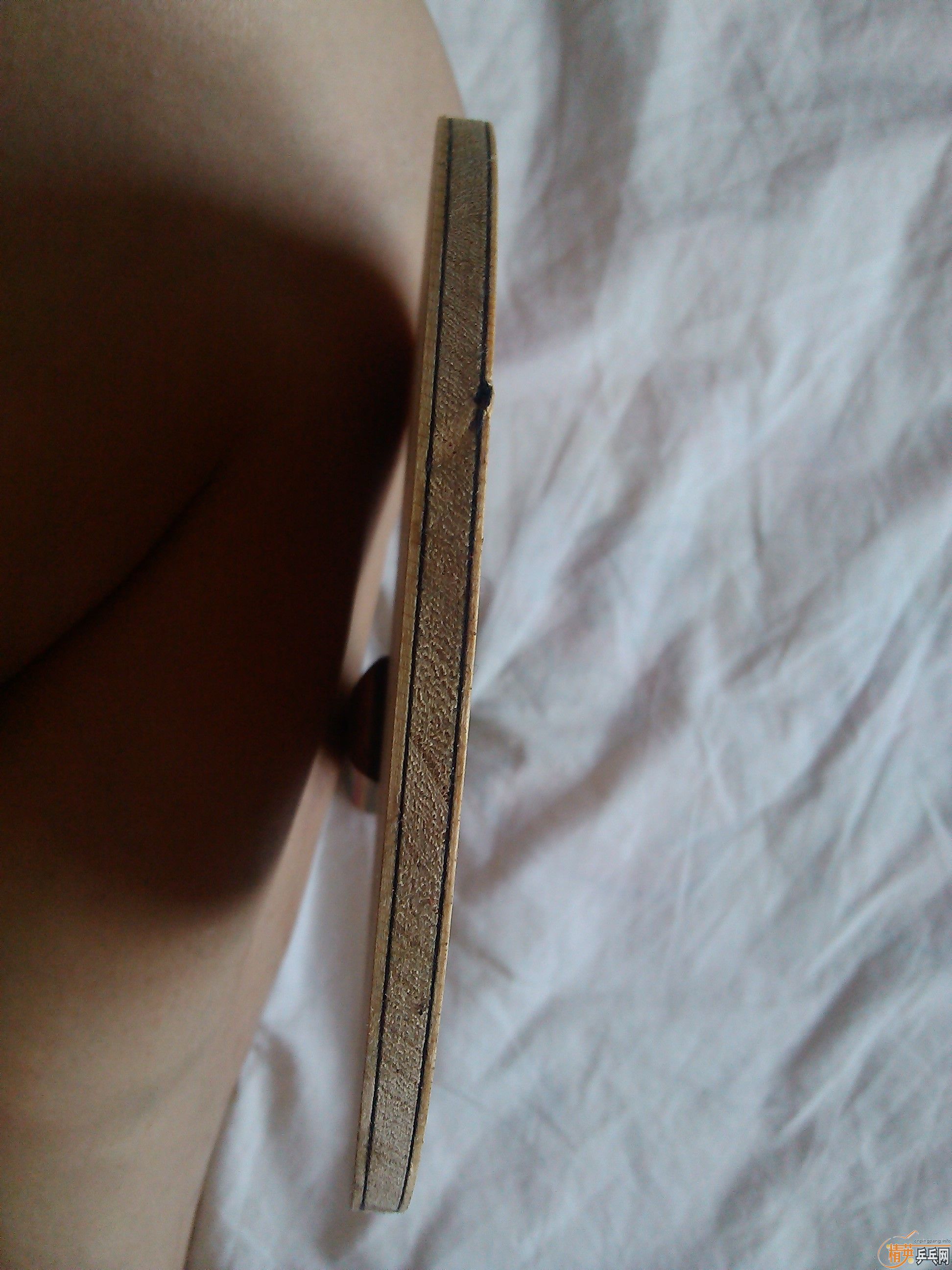 ���۳�������̼