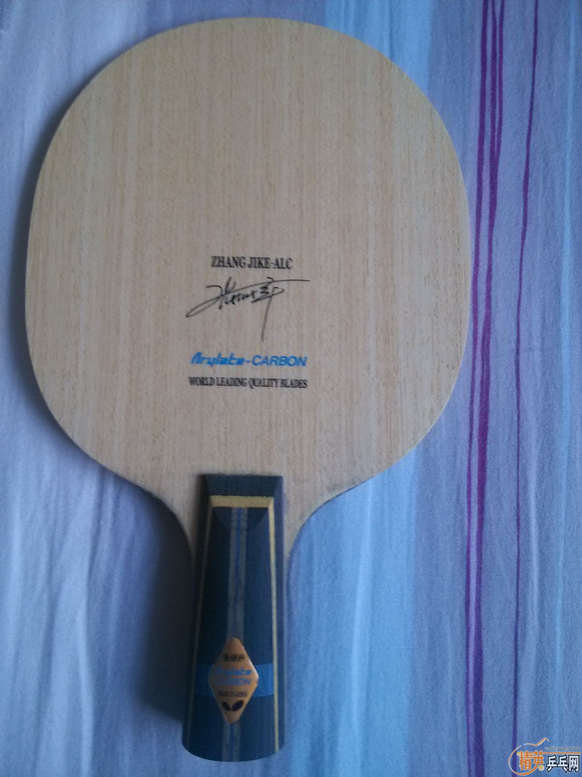 ��9.5���л��������ƺ���ZJKALC