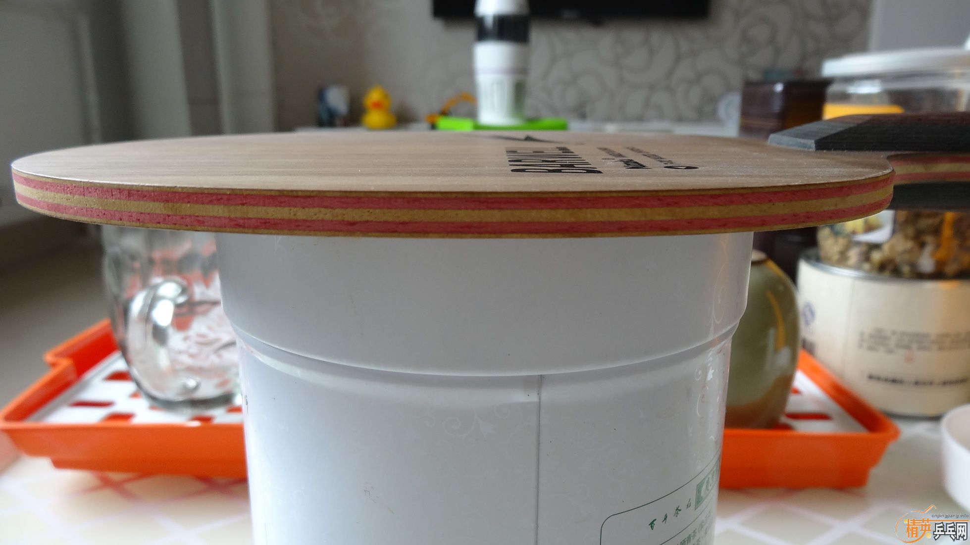 ��ɫ���µ�������������Լ��������