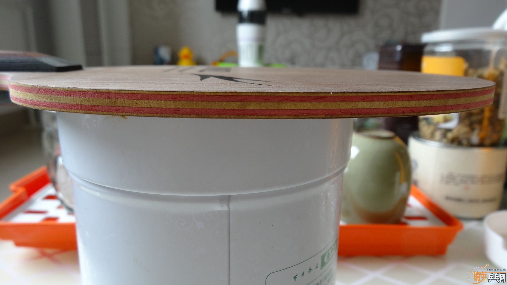 ��ɫ���µ�������������Լ��������