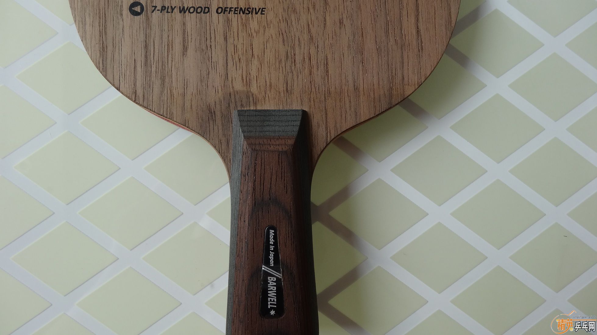 ��ɫ���µ�������������Լ��������