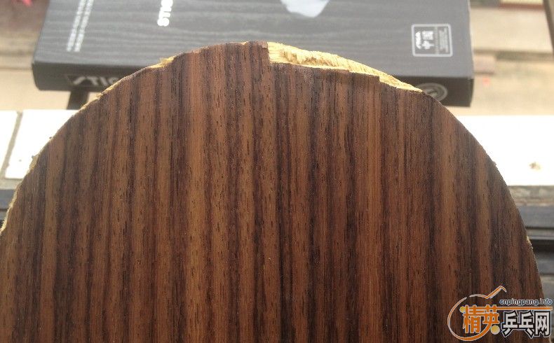 xo+barakuda,300�����