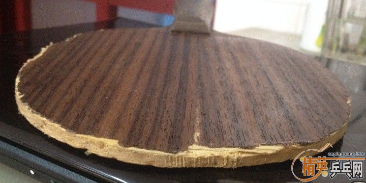 xo+barakuda,300�����