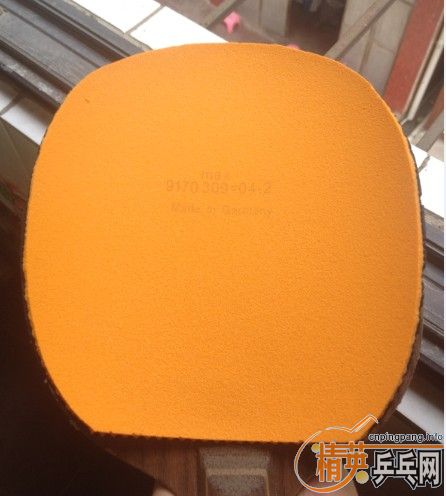 xo+barakuda,300�����