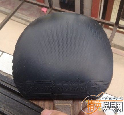 xo+barakuda,300�����