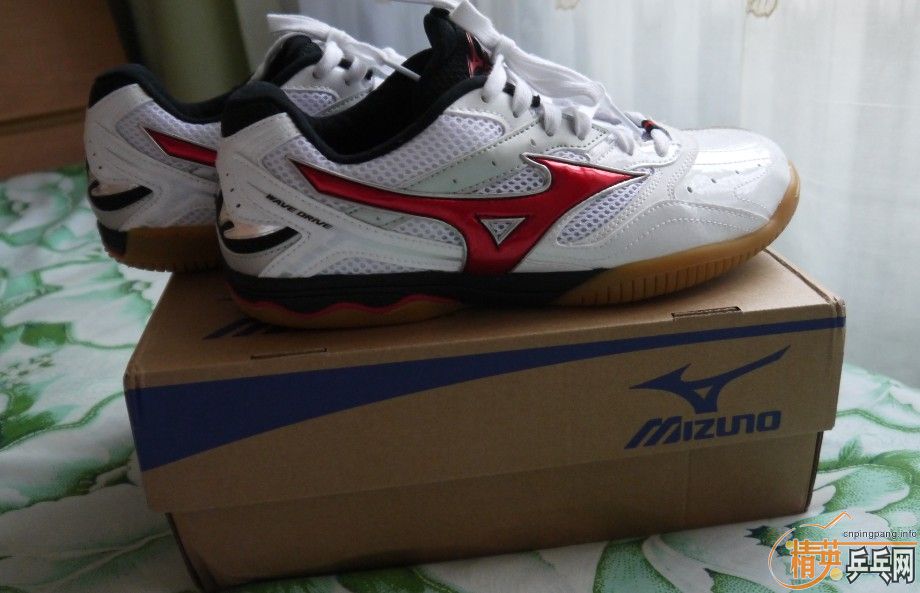 ϲ����������쿪��ʤʤ�� �ײ˼۳���������ƹ����Ʒ