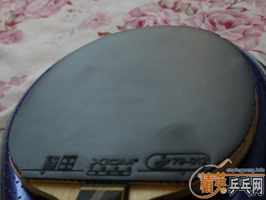 ϲ����������쿪��ʤʤ�� �ײ˼۳���������ƹ����Ʒ