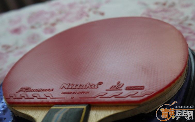 ϲ����������쿪��ʤʤ�� �ײ˼۳���������ƹ����Ʒ