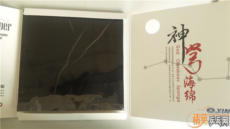 �յ����ӱ����׽���