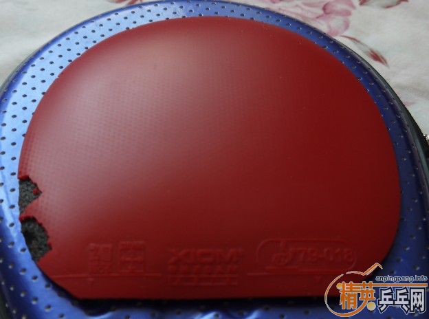 ϲ����������쿪��ʤʤ�� �ײ˼۳���������ƹ����Ʒ