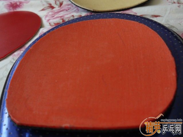 ϲ����������쿪��ʤʤ�� �ײ˼۳���������ƹ����Ʒ